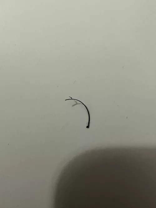 hook on hair pulled from beard???