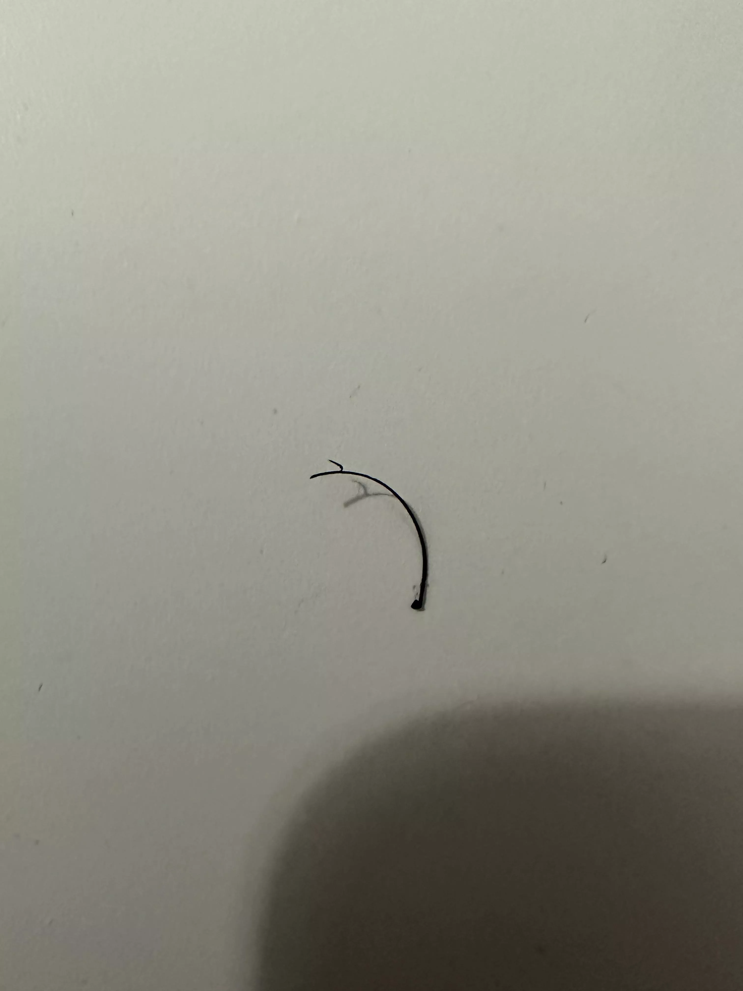 hook on hair pulled from beard???