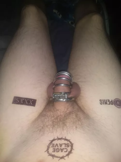 I think I need a smaller cage for my little clity who agrees