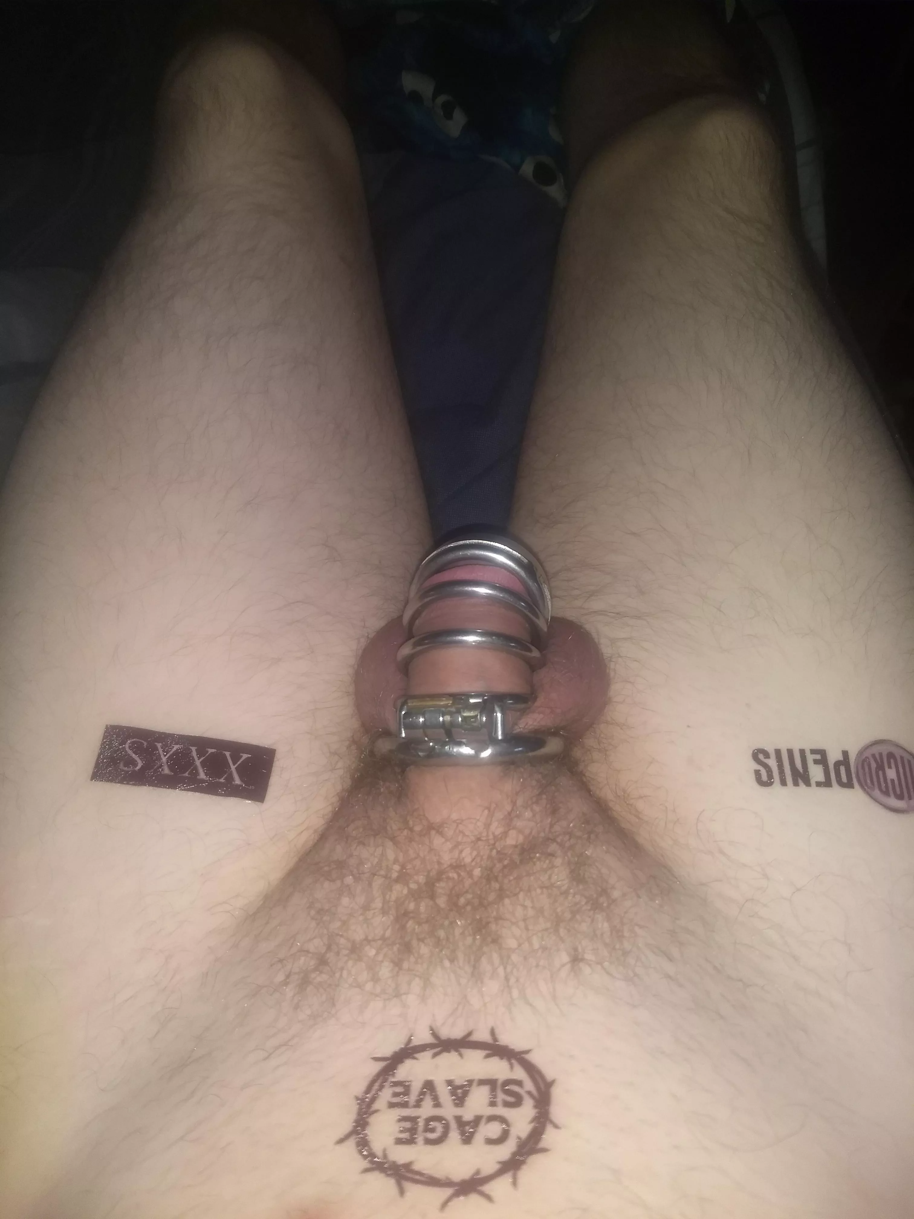 I think I need a smaller cage for my little clity who agrees