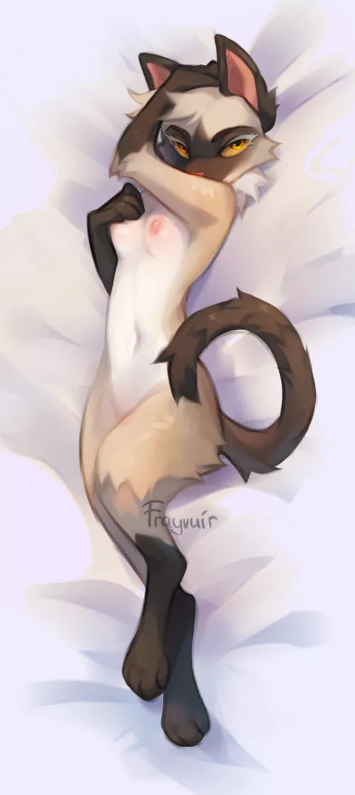 Kitty Cat [F] (Reysi)