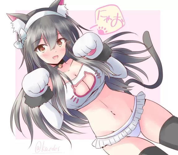 Lovely neko waifu