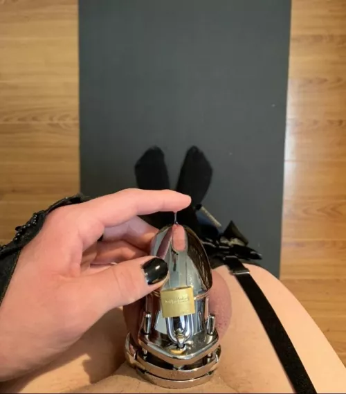 Starting to forget what being hard feels like after a month