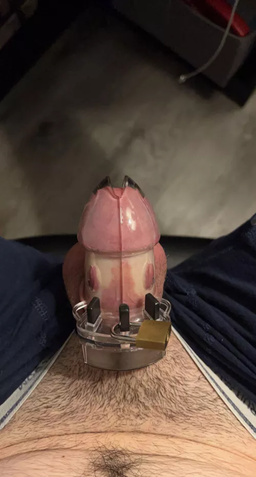 This locktober has been rough but it’s almost done right?