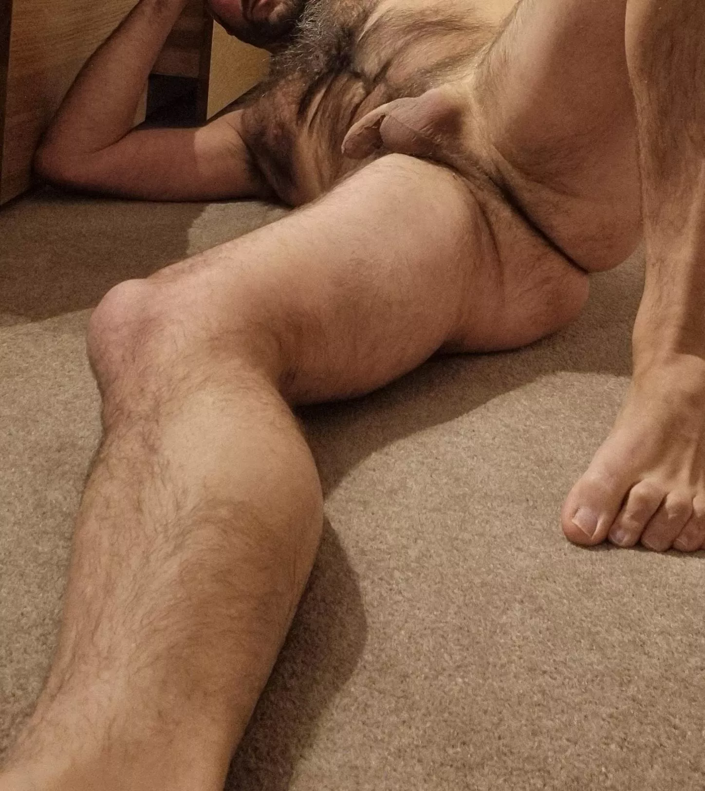 Want to take a closer look?