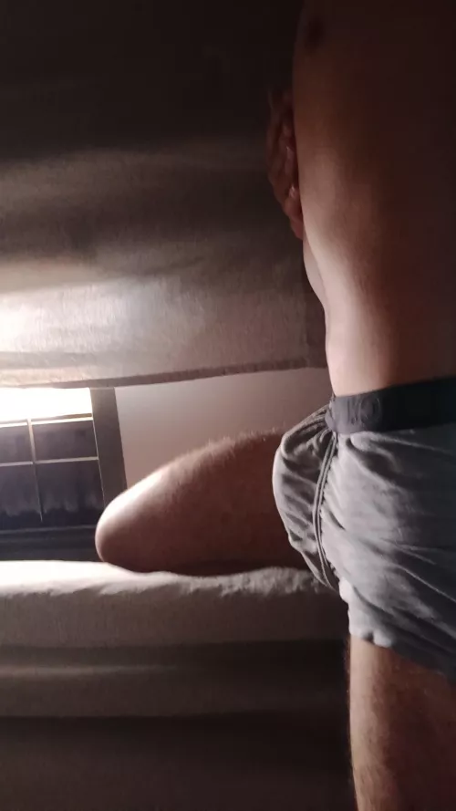 What about this morning wood ?