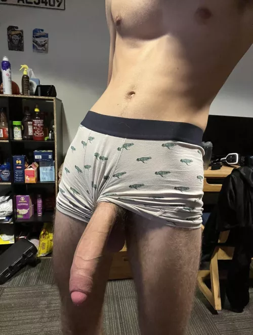 What’s your honest rating of my 18 year old cock?