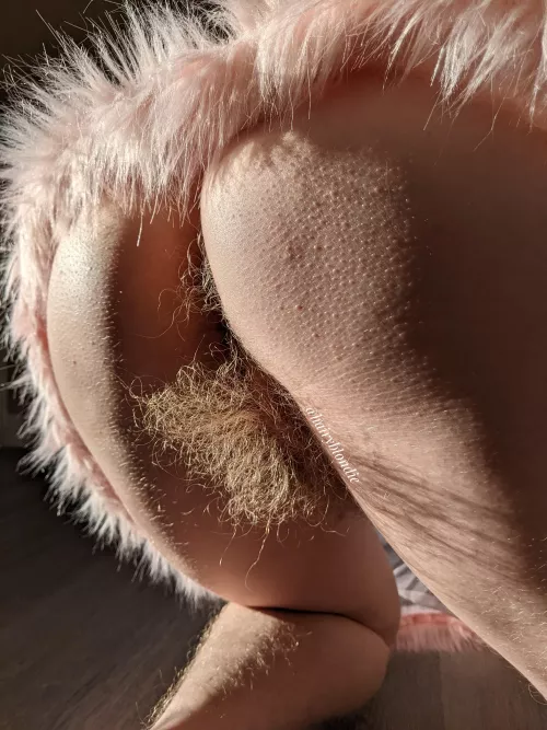 Would you eat a pussy THIS hairy?