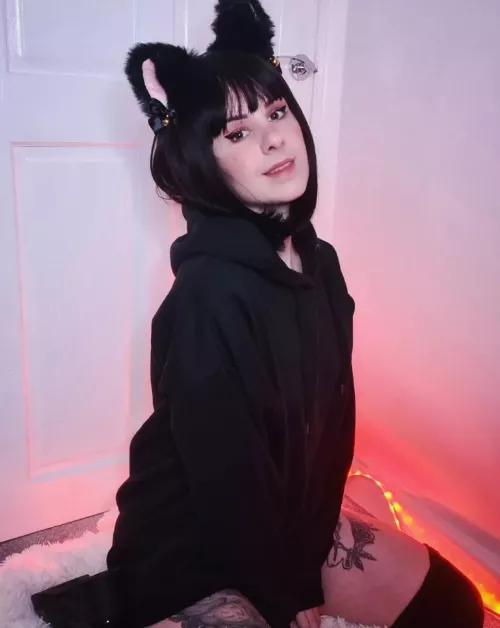 your little goth house kitty 🖤