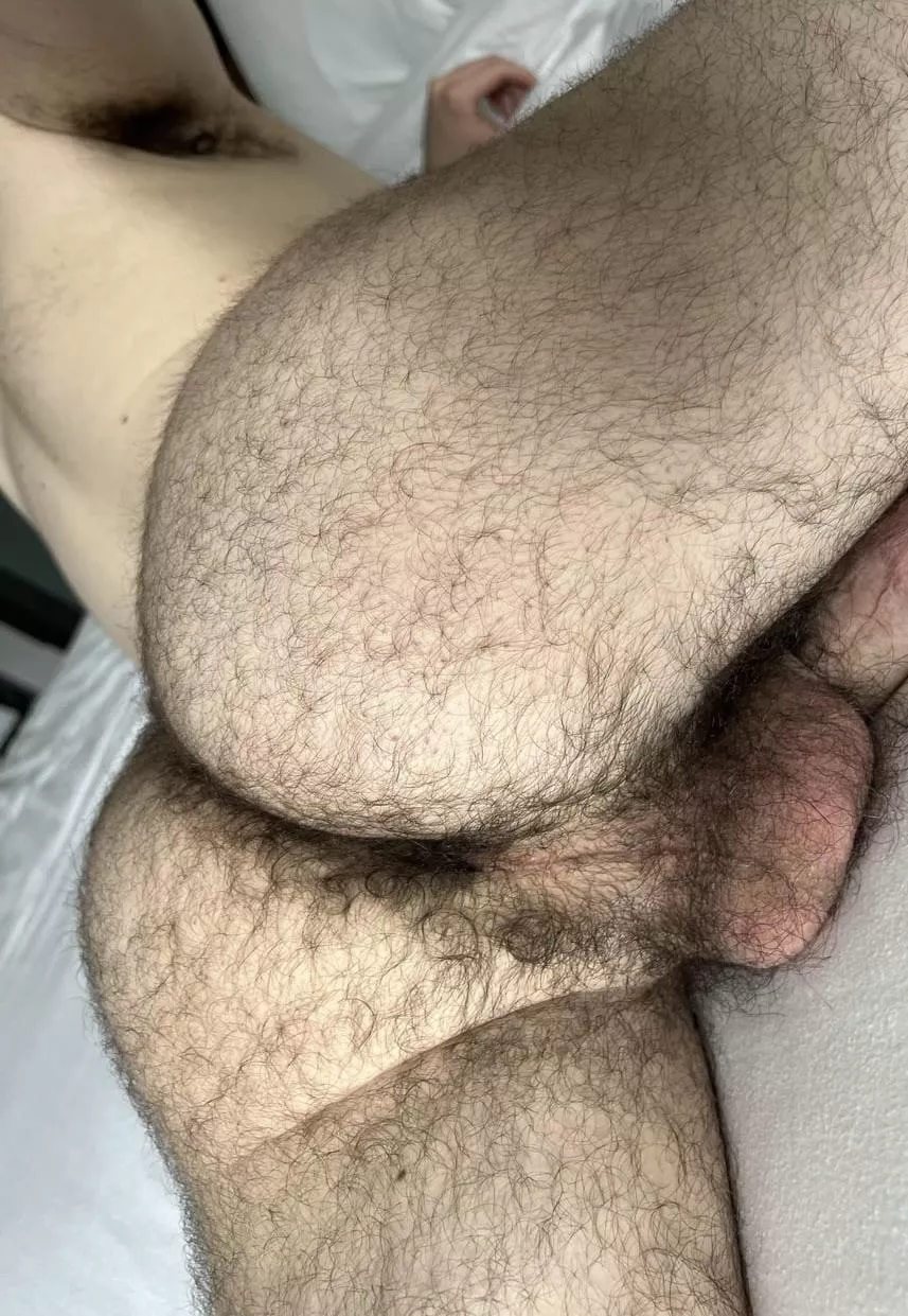 25 masc DL Arab bro with a thick furry ass. DMs are open