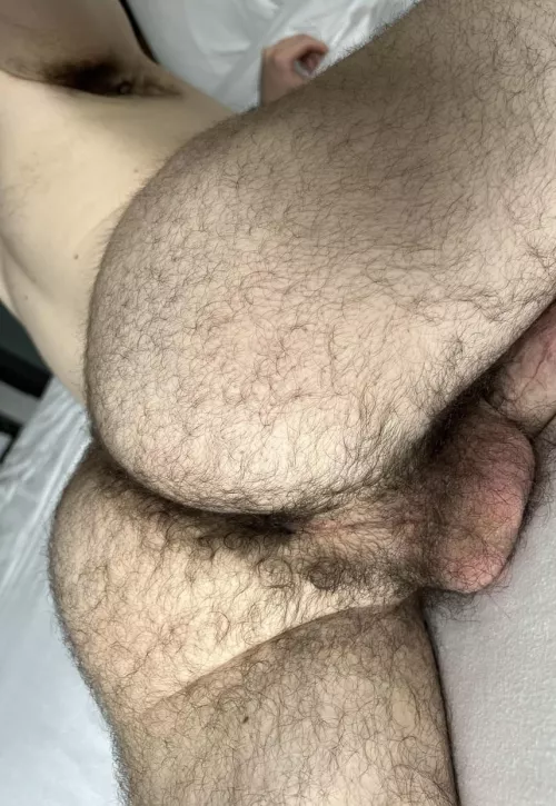 25 masc DL Arab bro with a thick furry ass. DMs are open