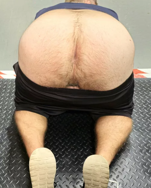 Any Vers Bears, South UK.