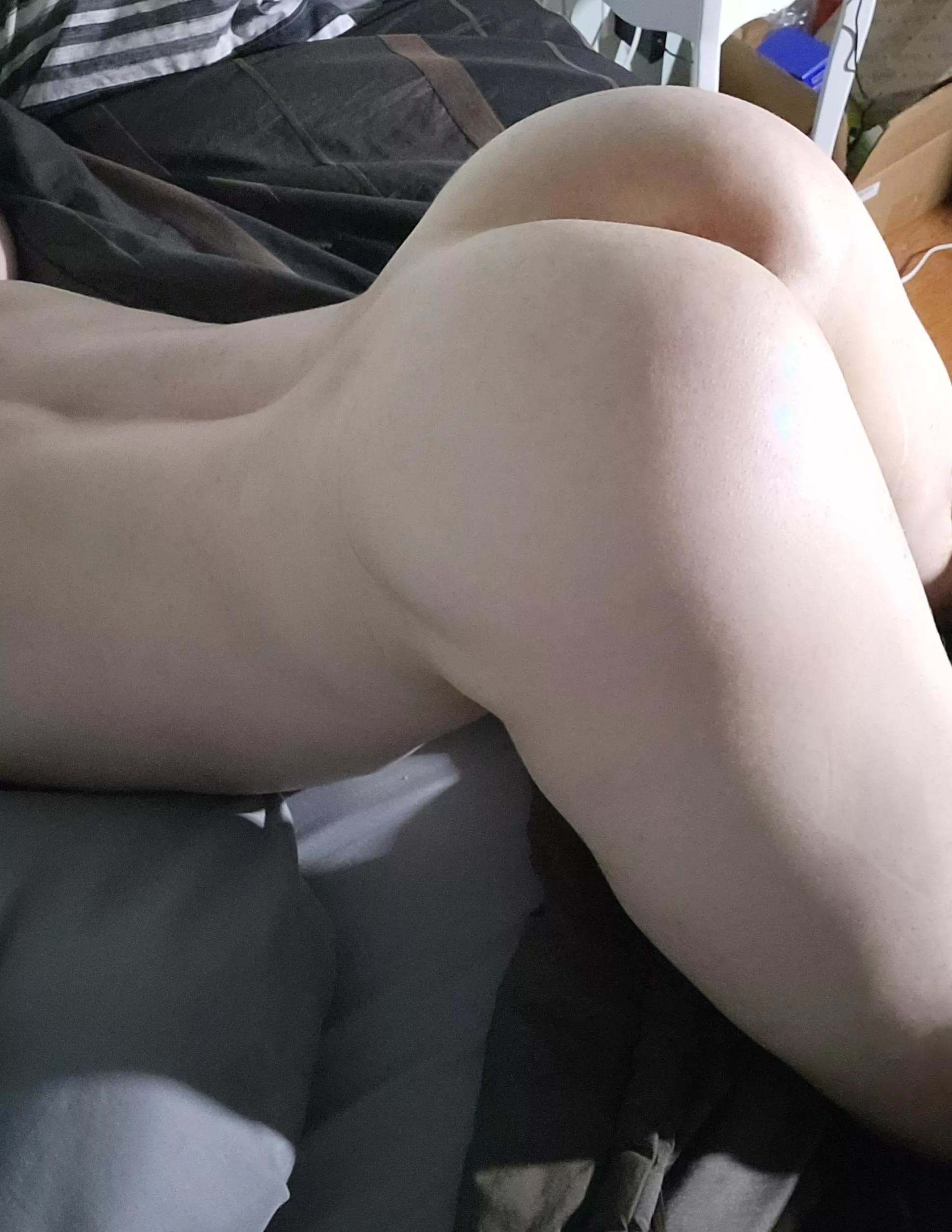 Arched for maximum breedability 😊