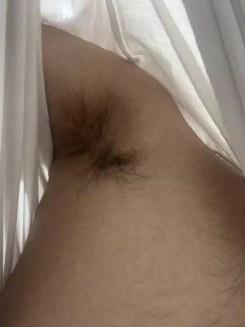 Are these Arab pits hot enough to get someone to submit and serve me😈👑