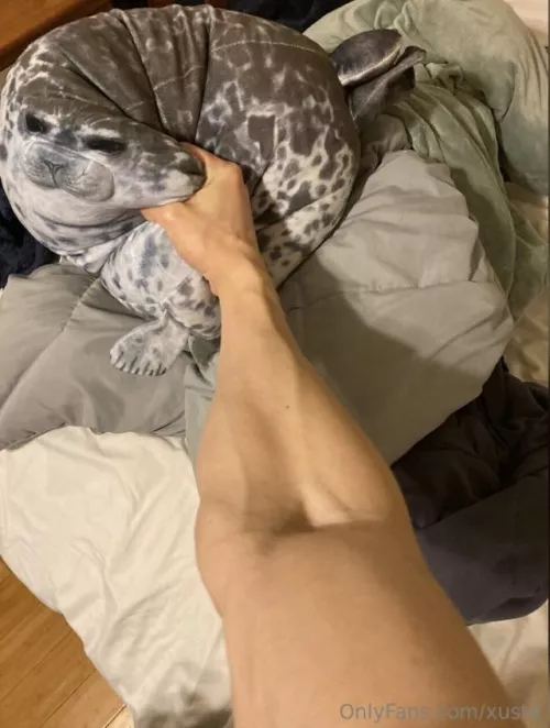 Come here you little shit.