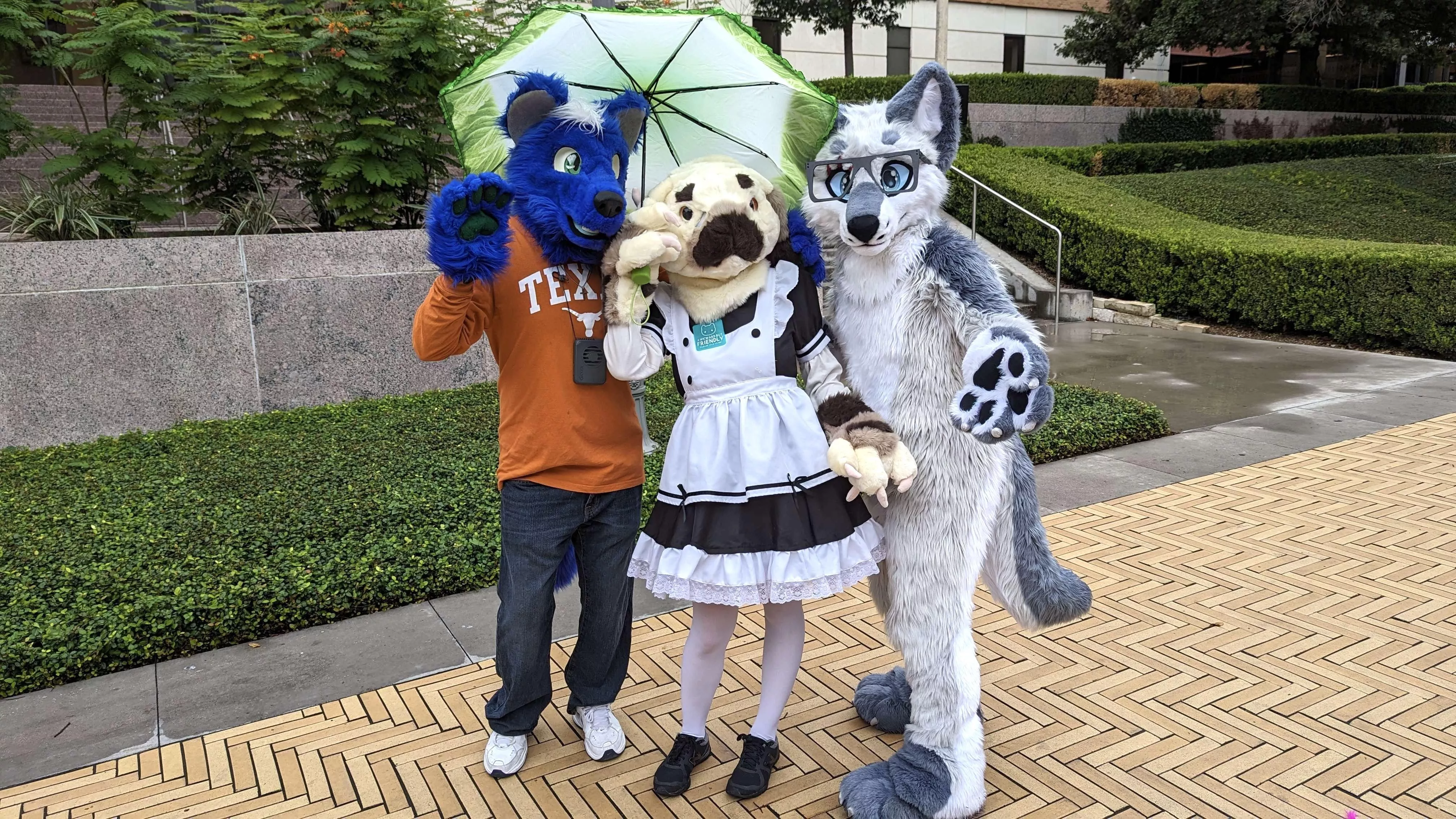 Had a great time fursuiting at my college’s Halloween event!