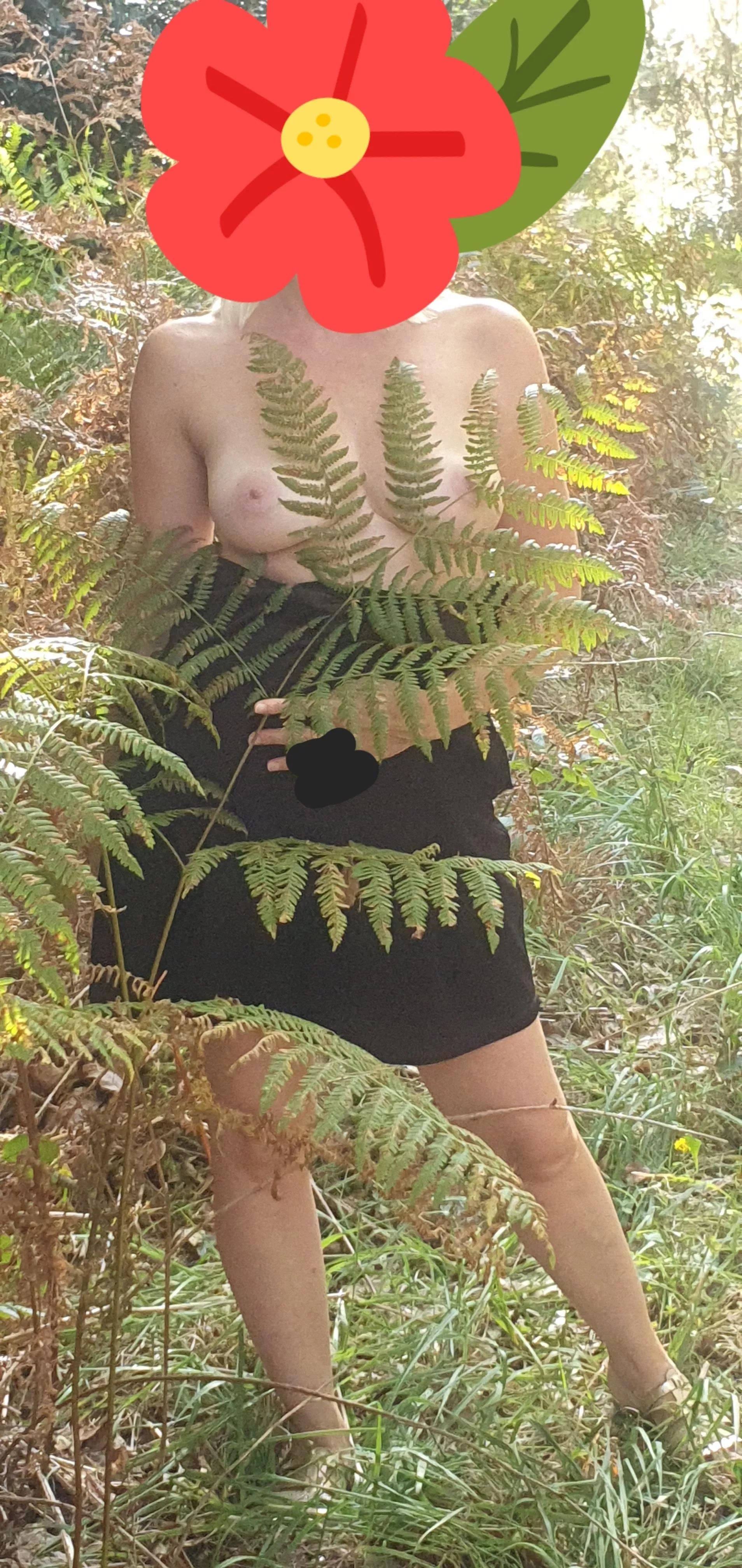 How old do you give them?