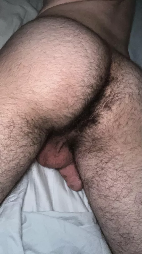 How’s my hairy teen ass?