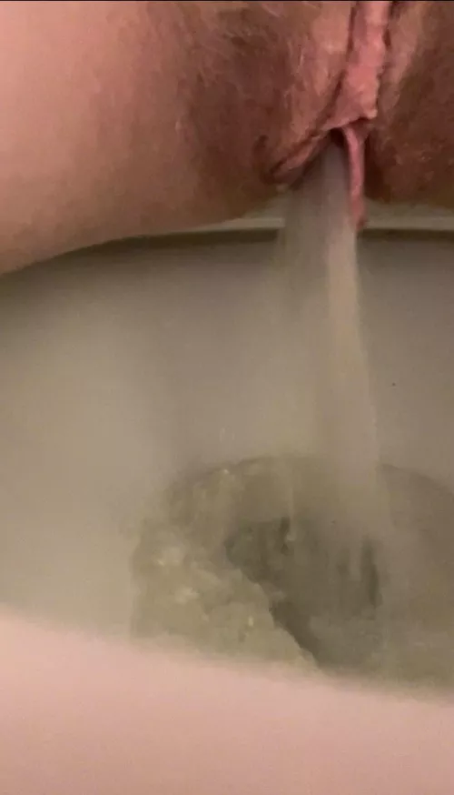 My goodness…Would you look at that? I think I have the best stream in all the land!!!