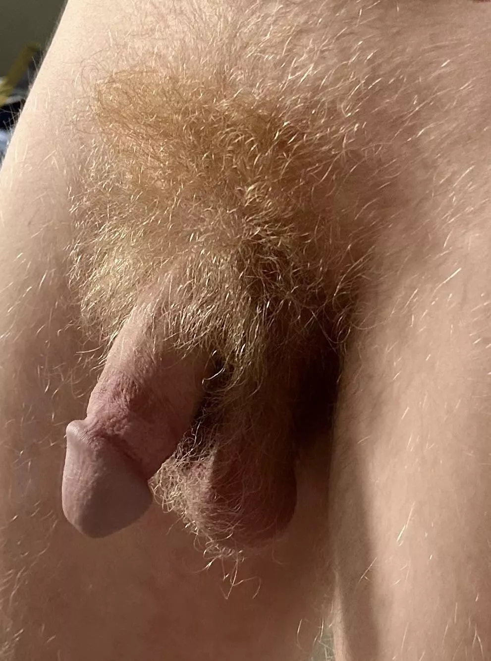 Natural Light. Natural fur.