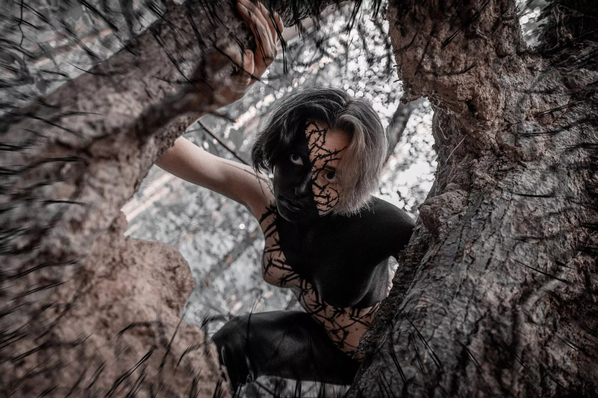 Sensational Silk Siren