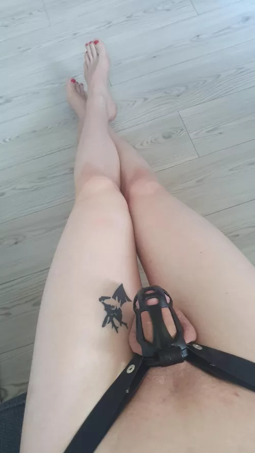 Stretching my legs before the day begins