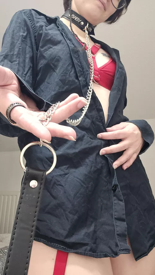 take my leash and see what I'm hiding