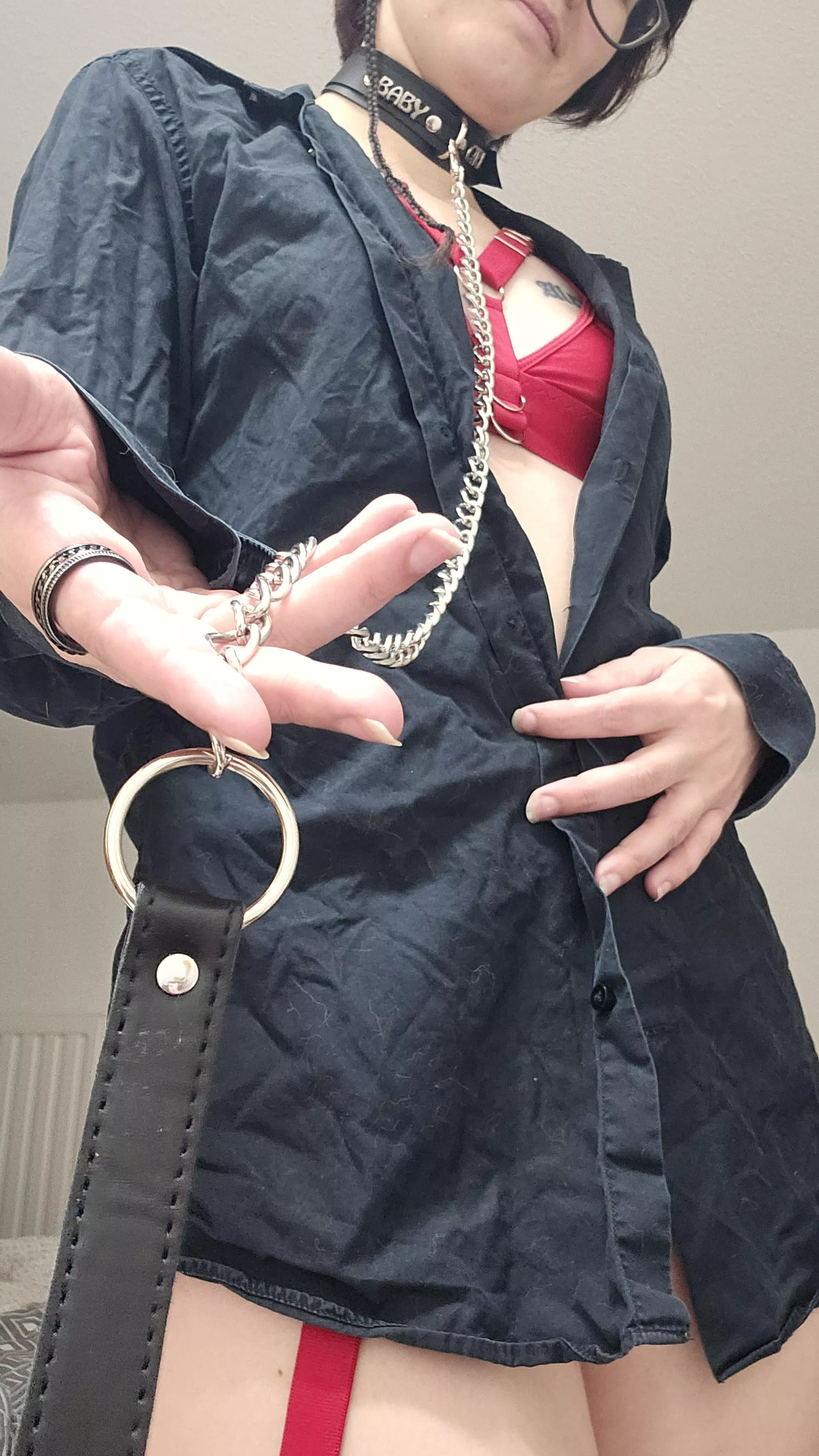 take my leash and see what I'm hiding