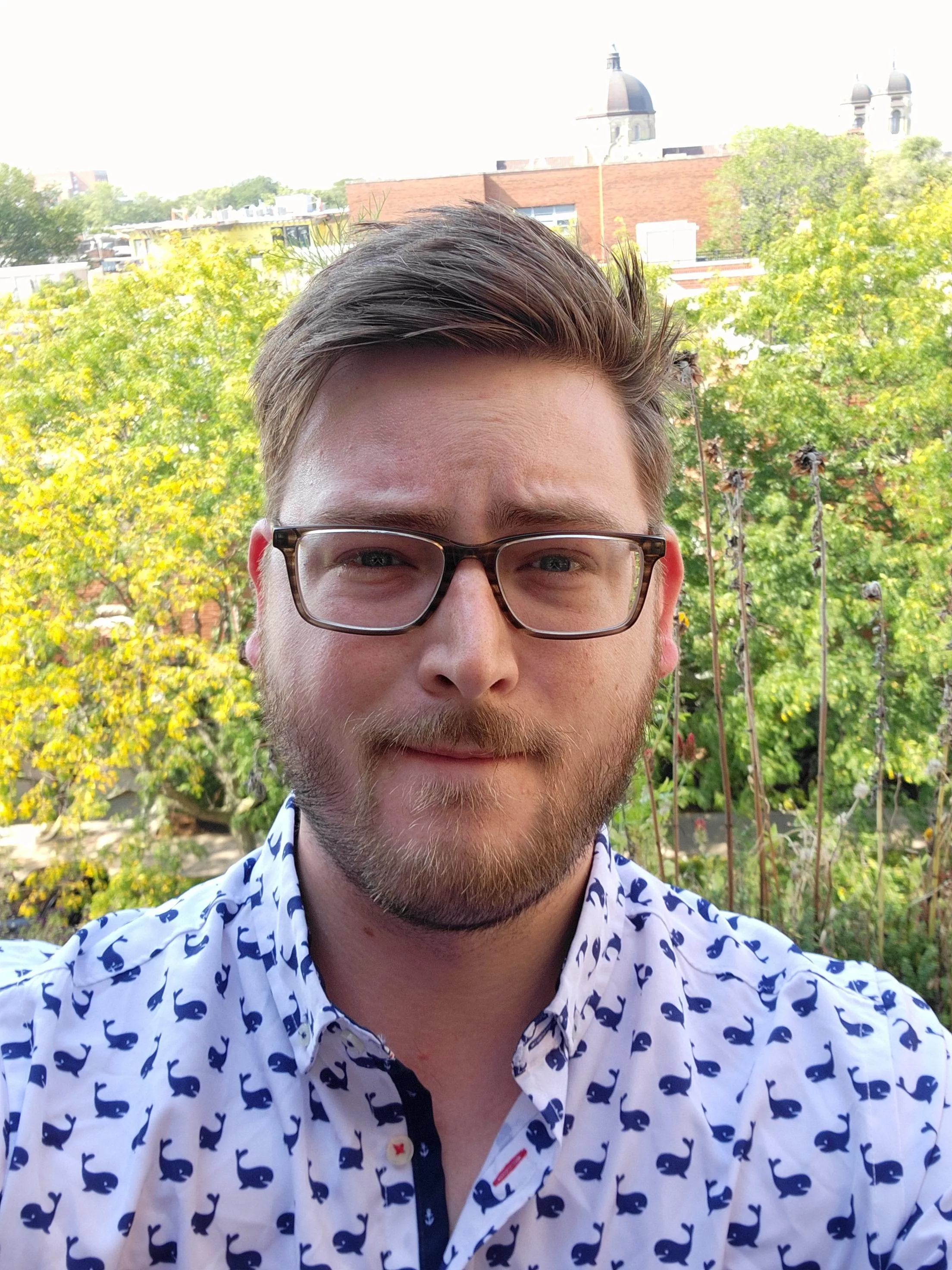 There are whales on my shirt.