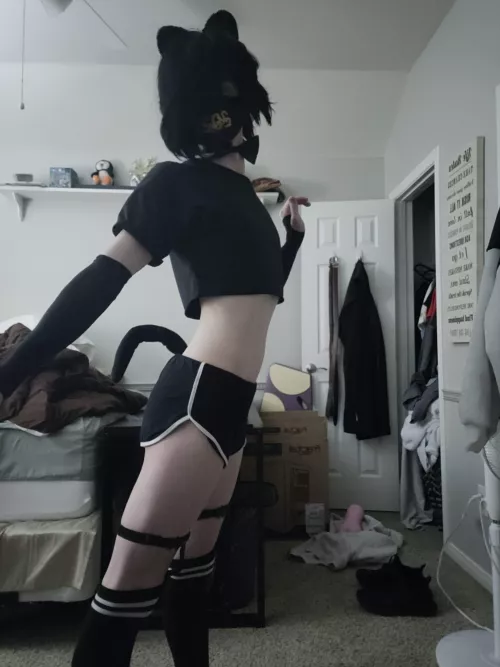 Do you like catboys?