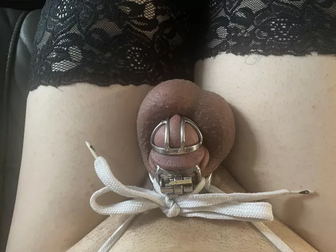 Feels so good being locked and shaved