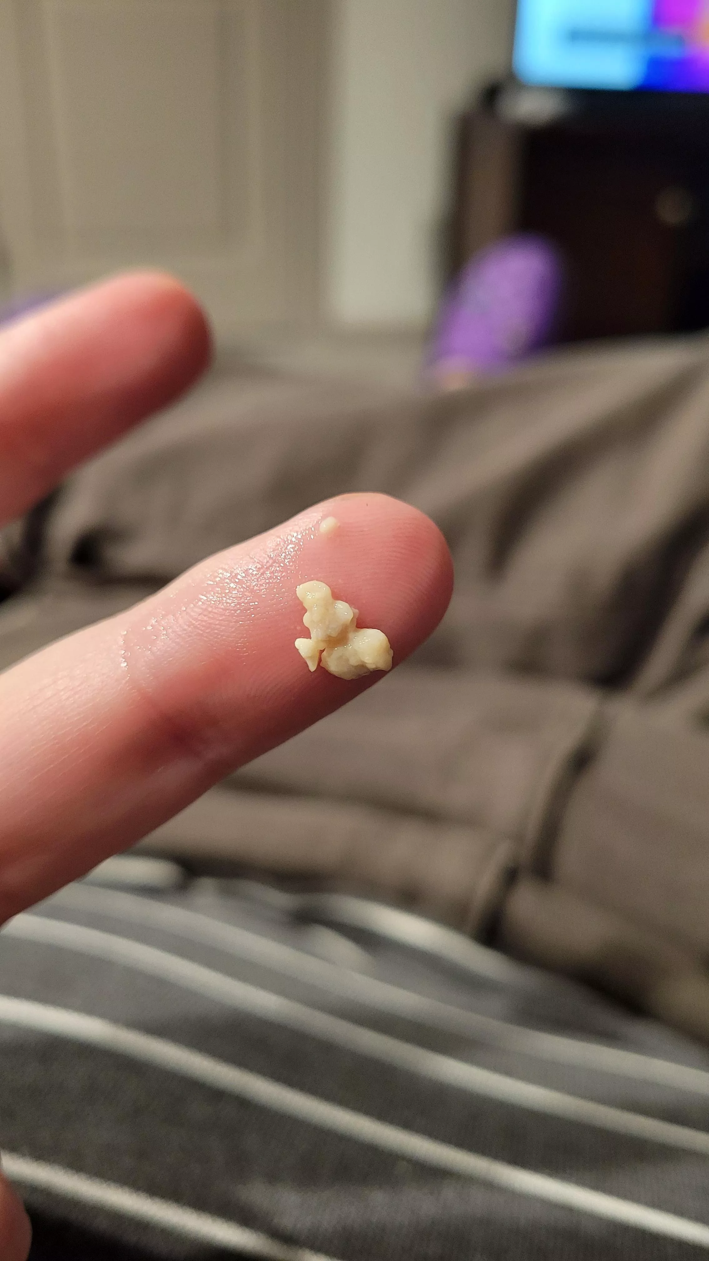 Got these guys the other day