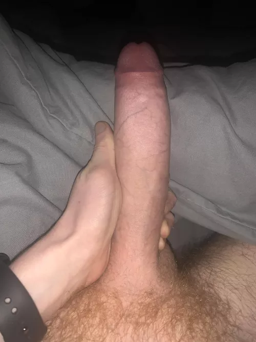 Horny and in need of company