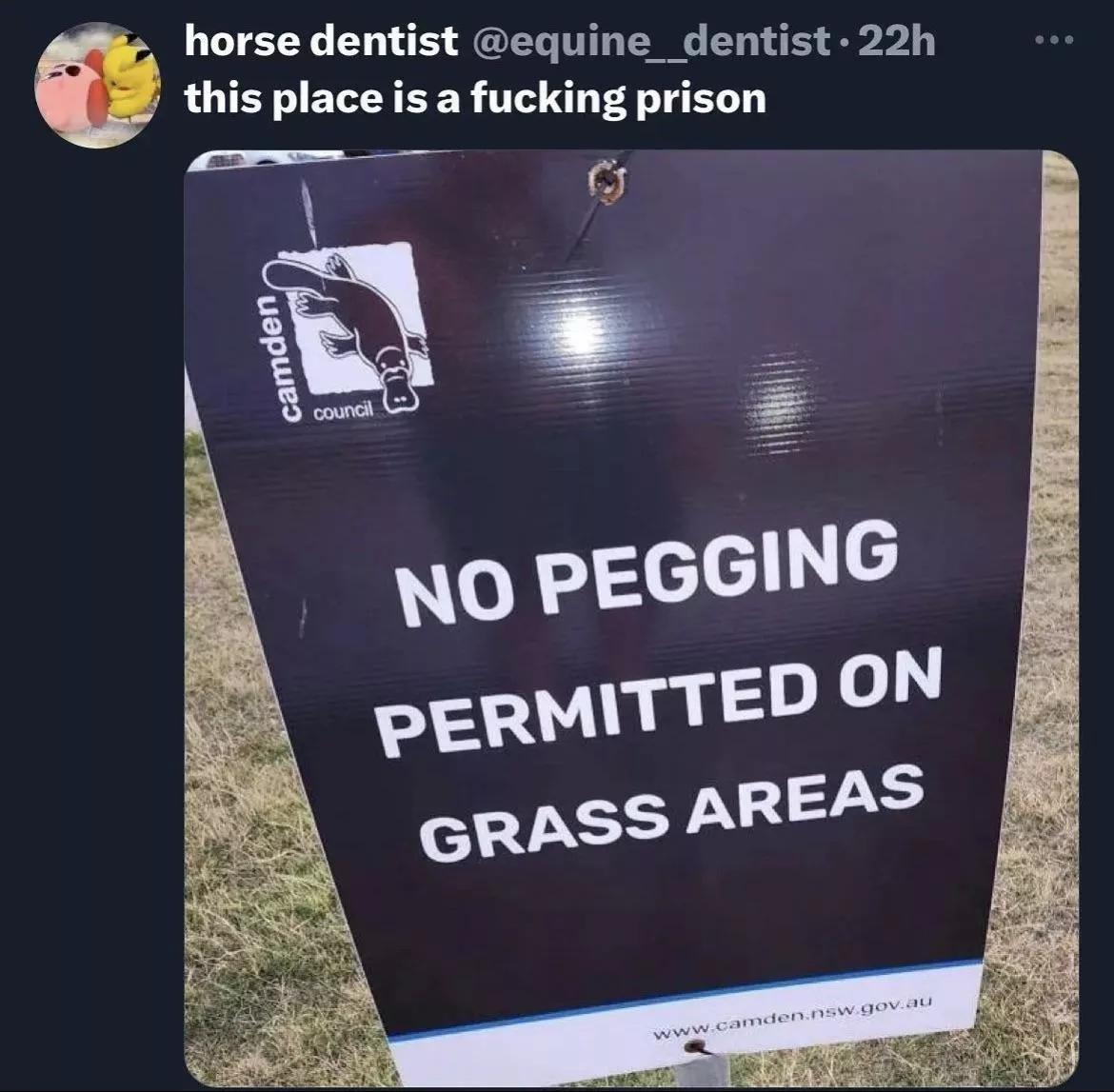 Horse Dentist is speaking facts