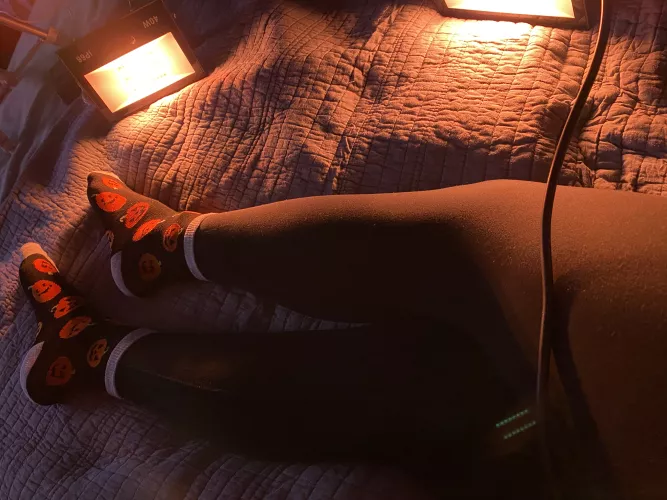 Trying to warm up my pumpkins... Happy Halloween ;)