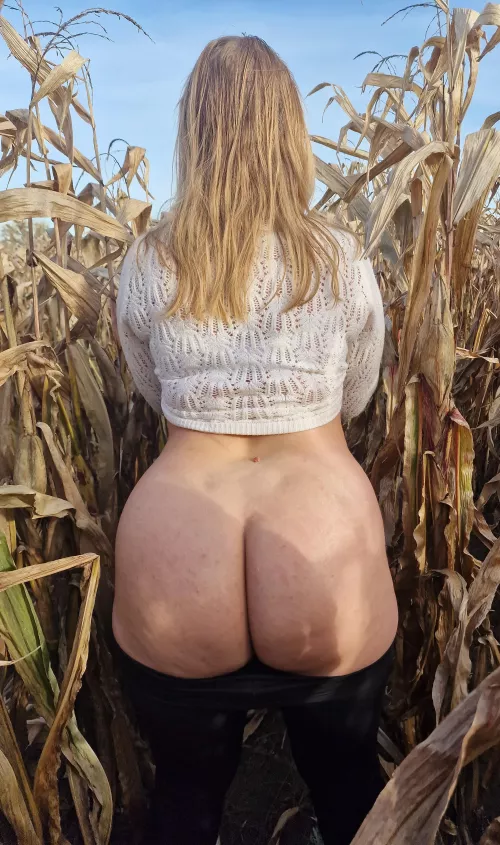 Well – it's a deserted cornfield, but not really, because my scary big ass is in it. Heh