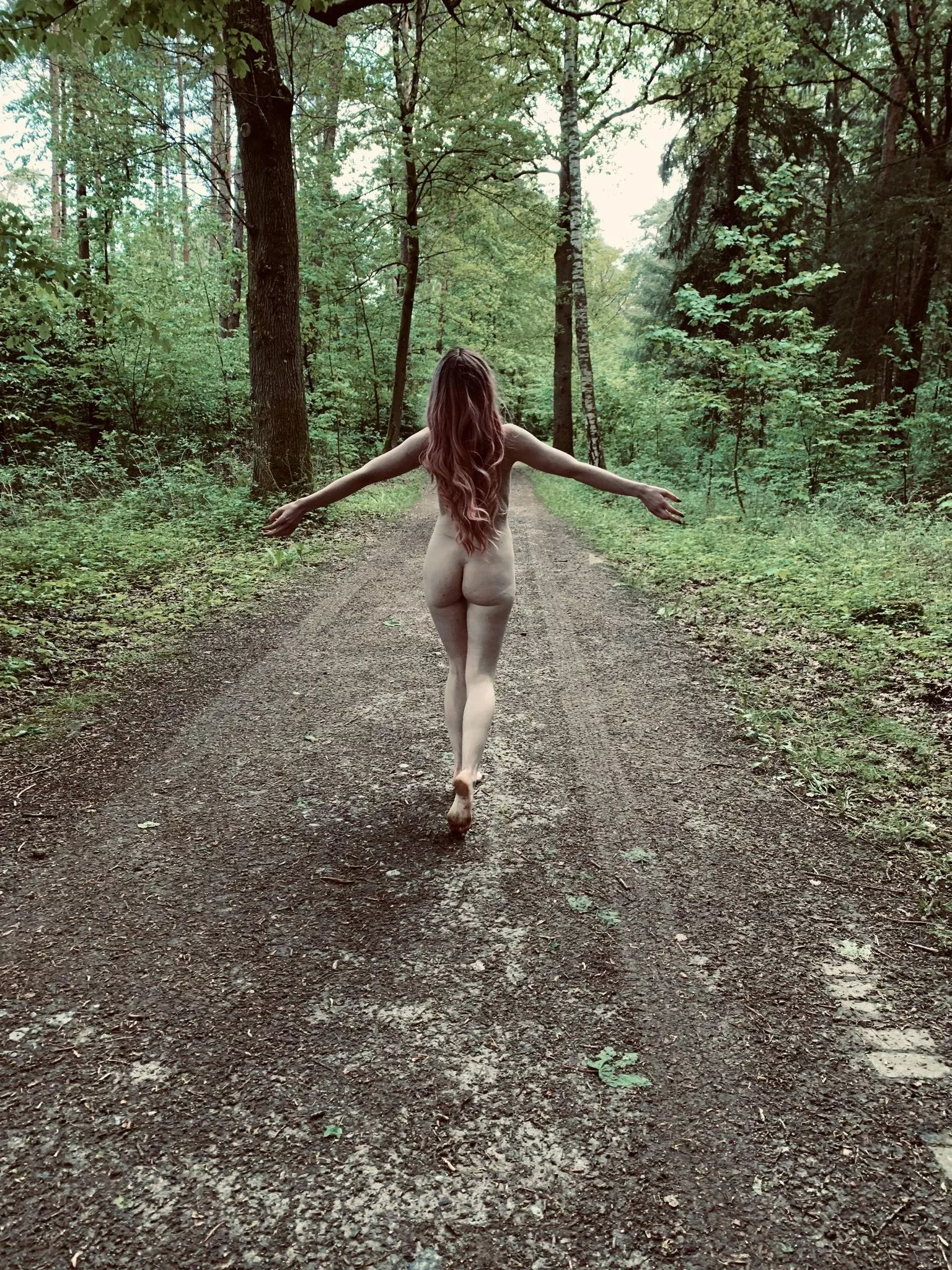 what will you do to my body if you bump into me in this empty forest 😉🌲