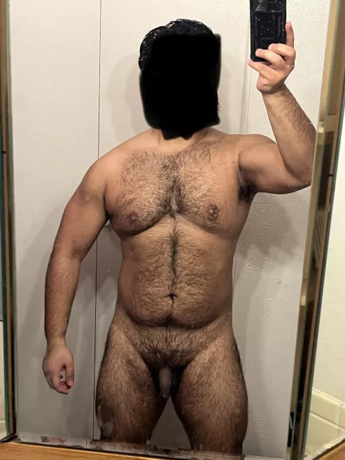 After a bit of a lull, I’m back in the gym.