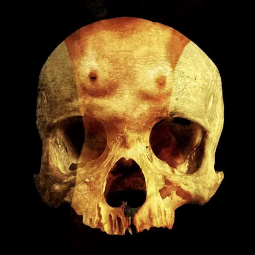 BOO(bs)!!! Happy Halloween!