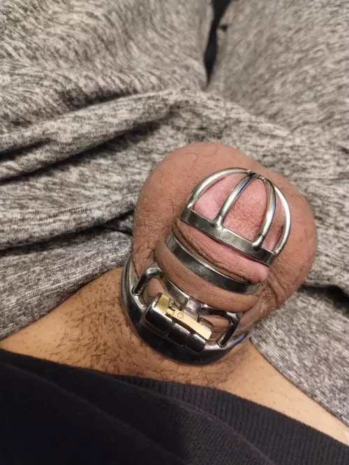 Chastity game every comment adds 24hrs to my sentence (starting at 3 days)