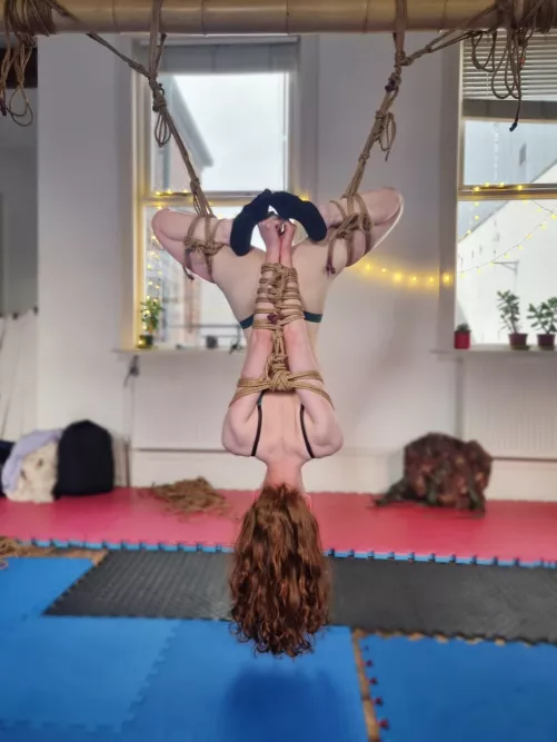 Dangling upside down 🙃