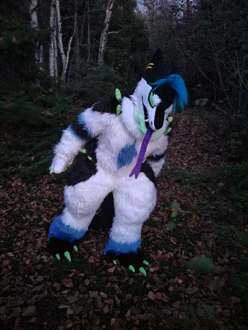 🎃Happy Halloween Everyone!🎃