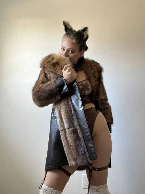 I hope you all survive the students’ sugar rush today! 🦊