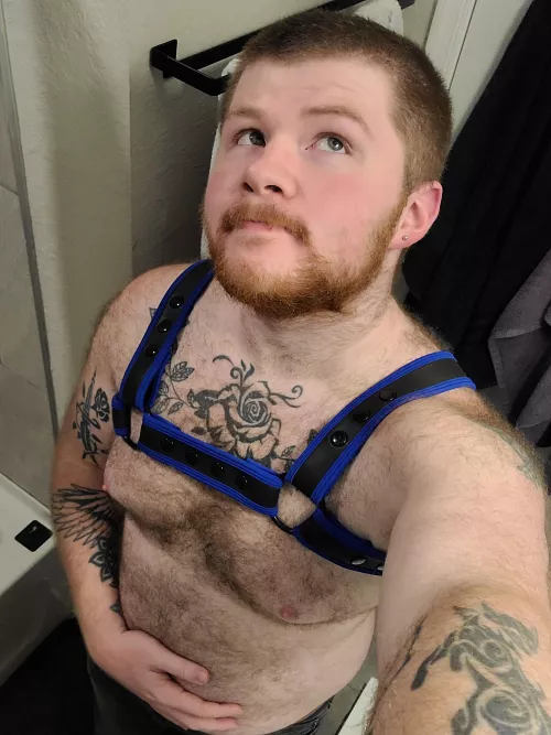 I'm liking this new harness