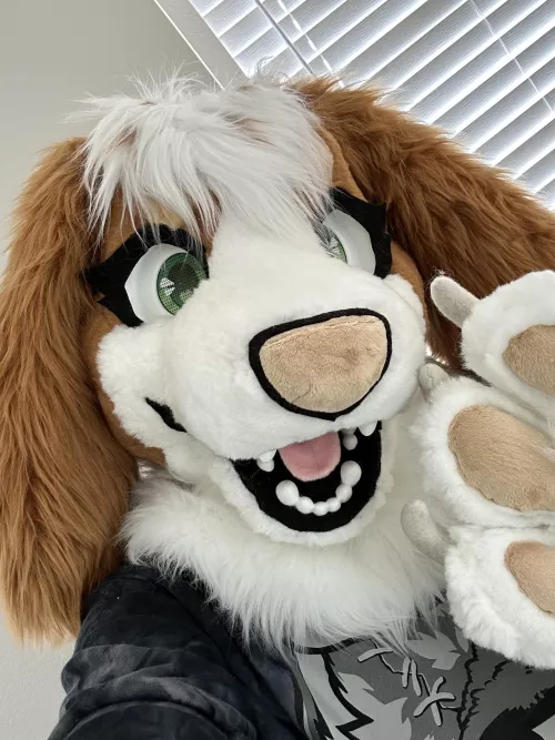 Popping in to say hello ❤️❤️