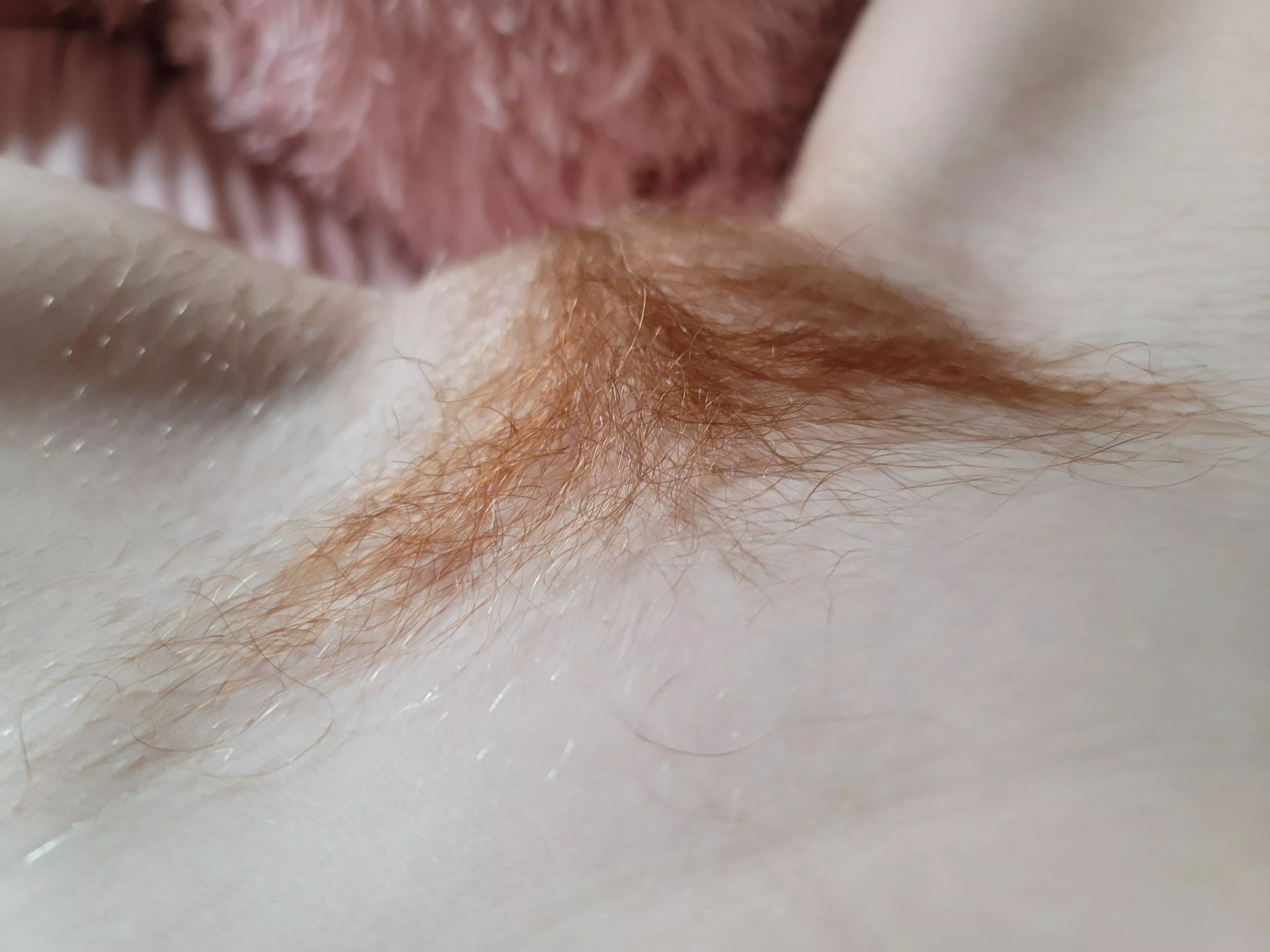 So many guys tell me hair is gross, but I love it hehe.