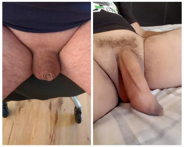 Two softies, one winner 😆