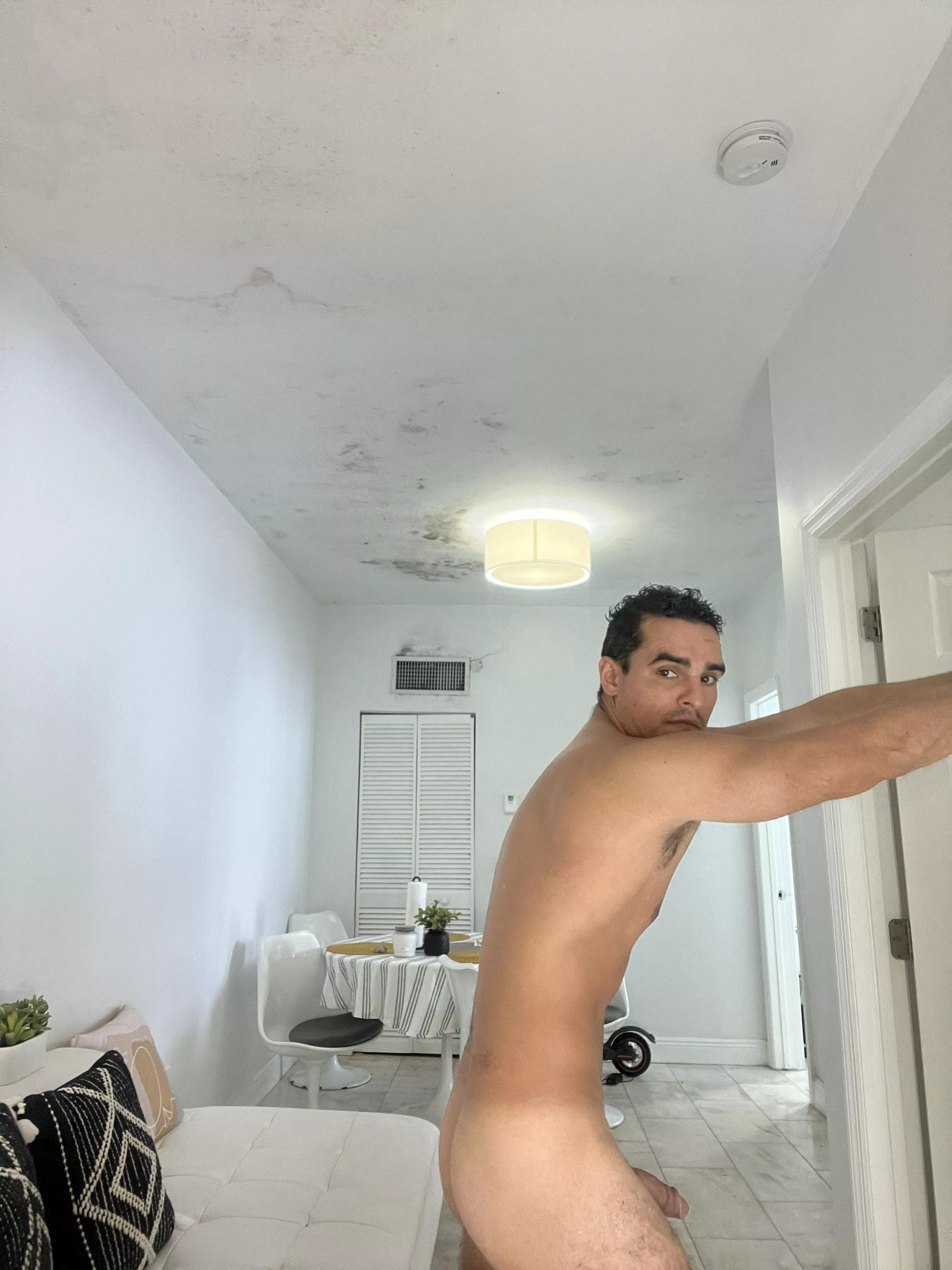 Want me to send you more? Say “Yes”