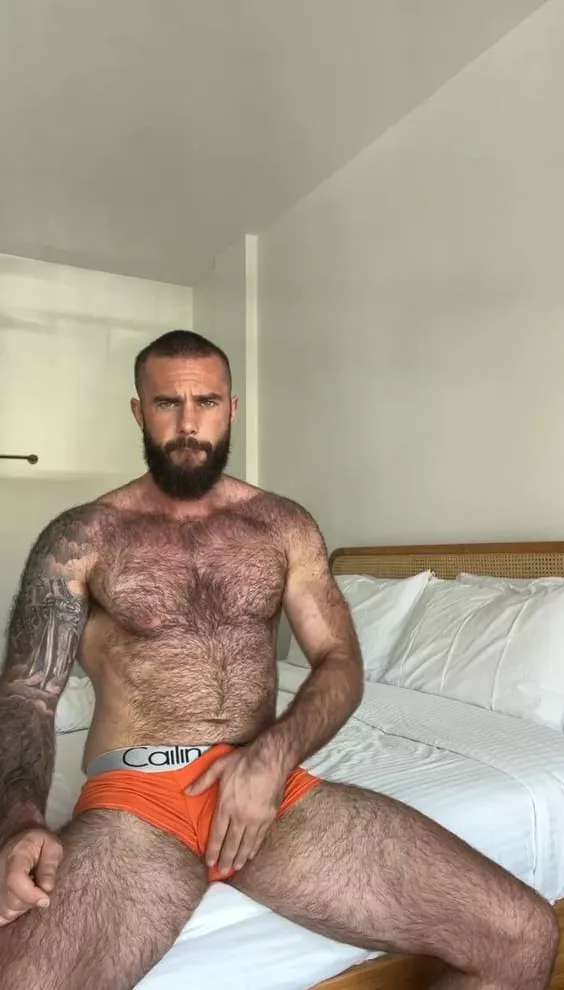 What would you wish to do with my hairy body if you were my neighbor, could you resist touching it or sniffing it??