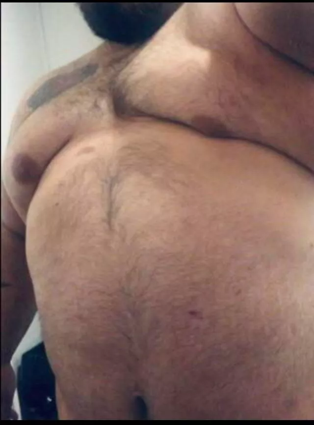 33m PNW, Who needs some teddy bear snuggles?